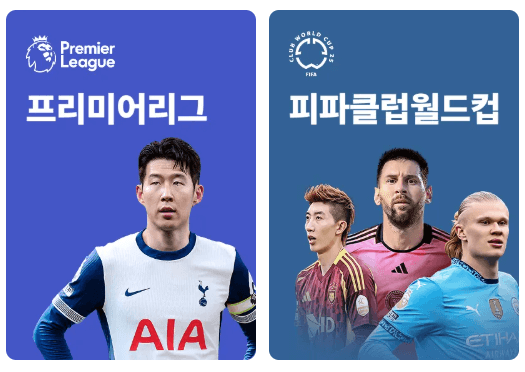 쿠팡플레이 스포츠패스