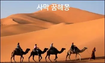 사막 꿈해몽