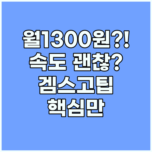 NordVPN 월 1300원대 겜스고..