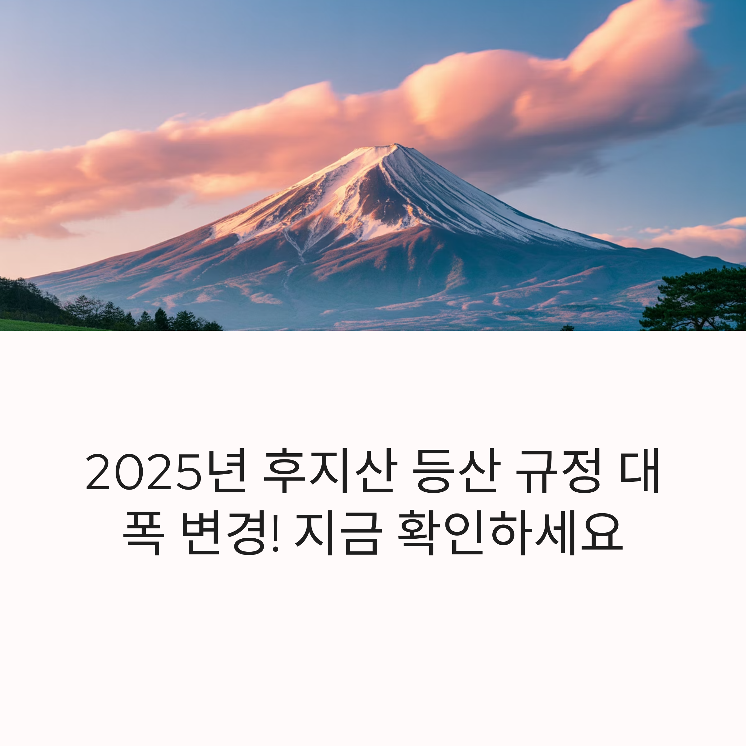 후지산 등산 사전등록