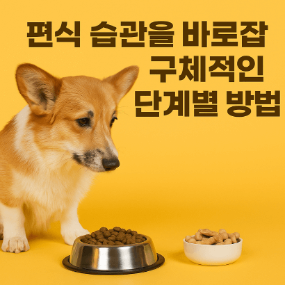 사료 안 먹는 강아지, 간식만 찾는 이유와 해결방법 총정리
