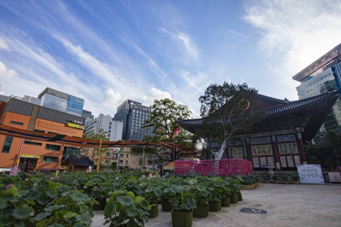 서울사찰조계사