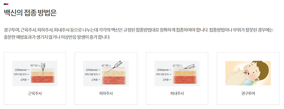 독감예방접종-무료