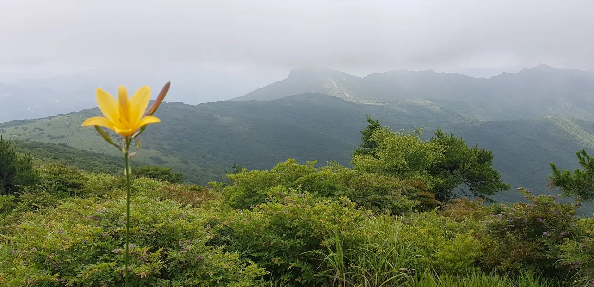 울산 신불산