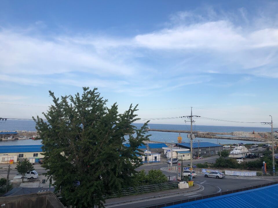 파슬리하우스-창밖