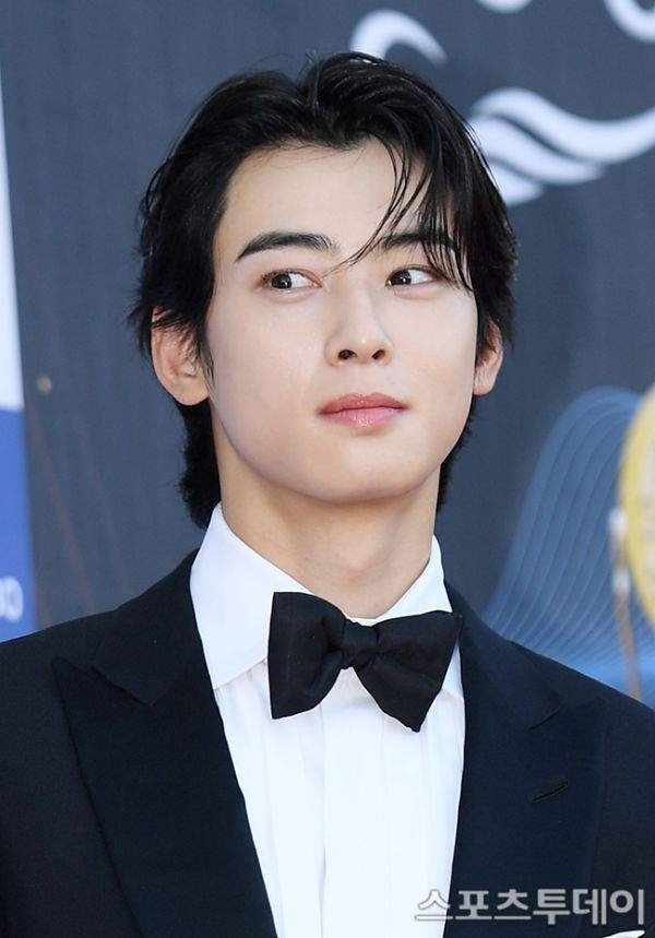 차은우 조세심판원 청구 승소 확률과 행정소송 3대 시나리오 정밀 예측, 낸 돈 130억 다시 돌려받을까?