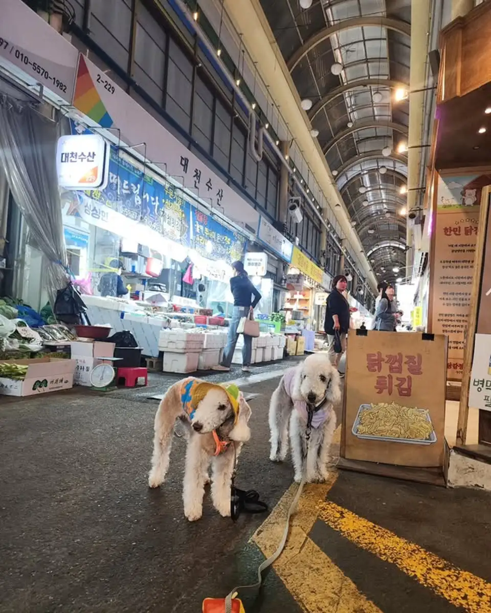 미뇽씨공방