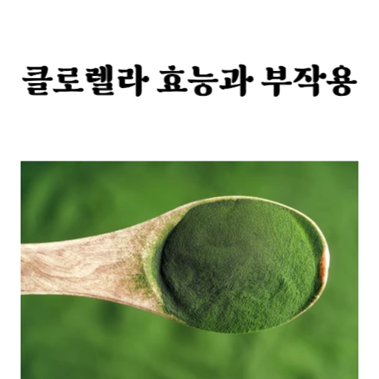 클로렐라 효능과 부작용