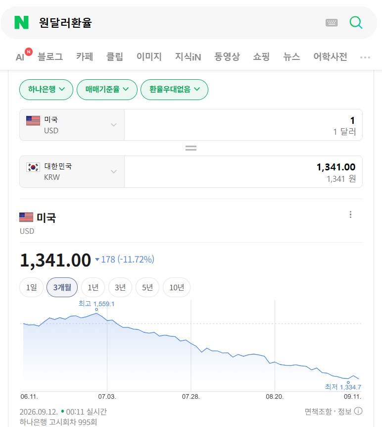 원달러 환율 하락, 지금 달러 환전해도 될까? 초보투자자 환차손익 절망편