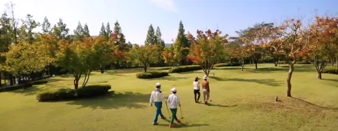 파크골프 부상 종류와 통증 예방하는 방법