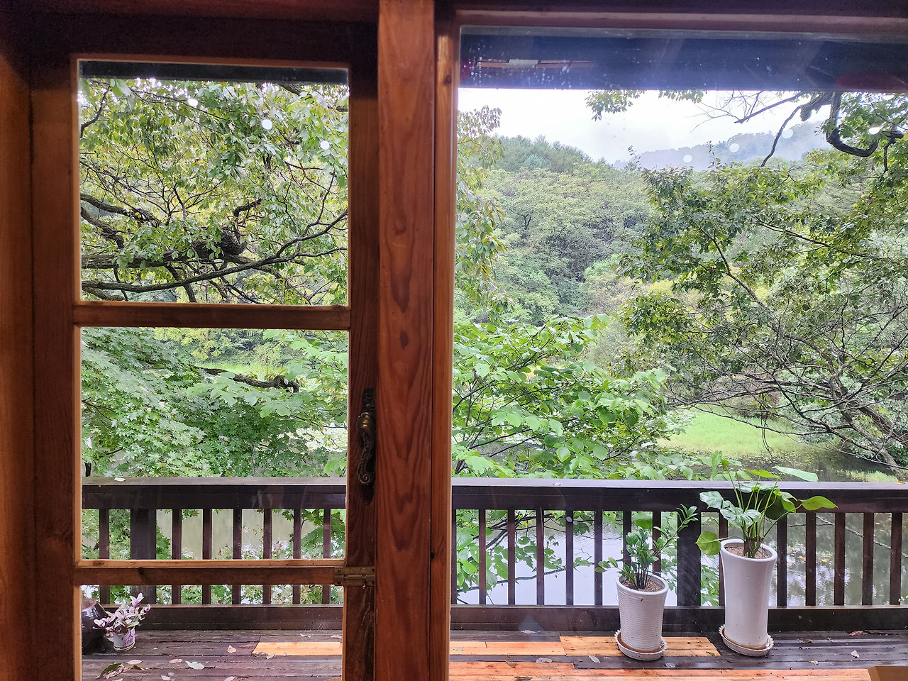 포천 가볼만한곳 베스트10 - 광릉수목원