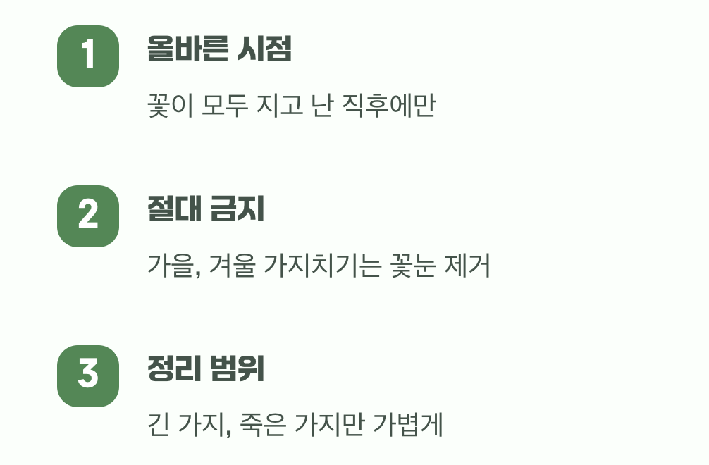 4. 가장 중요한 약속, 가지치기 시점