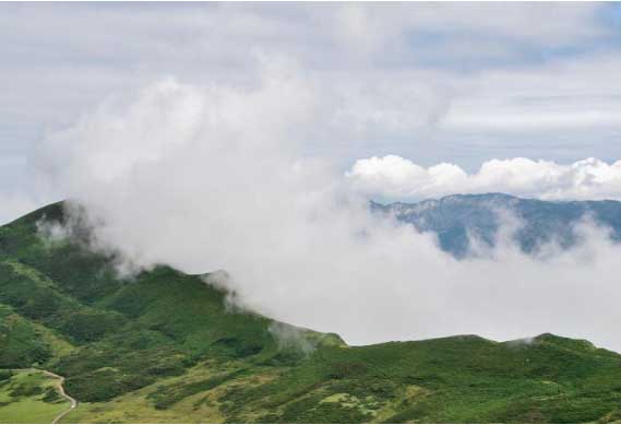 2025년 제주도 장마기간