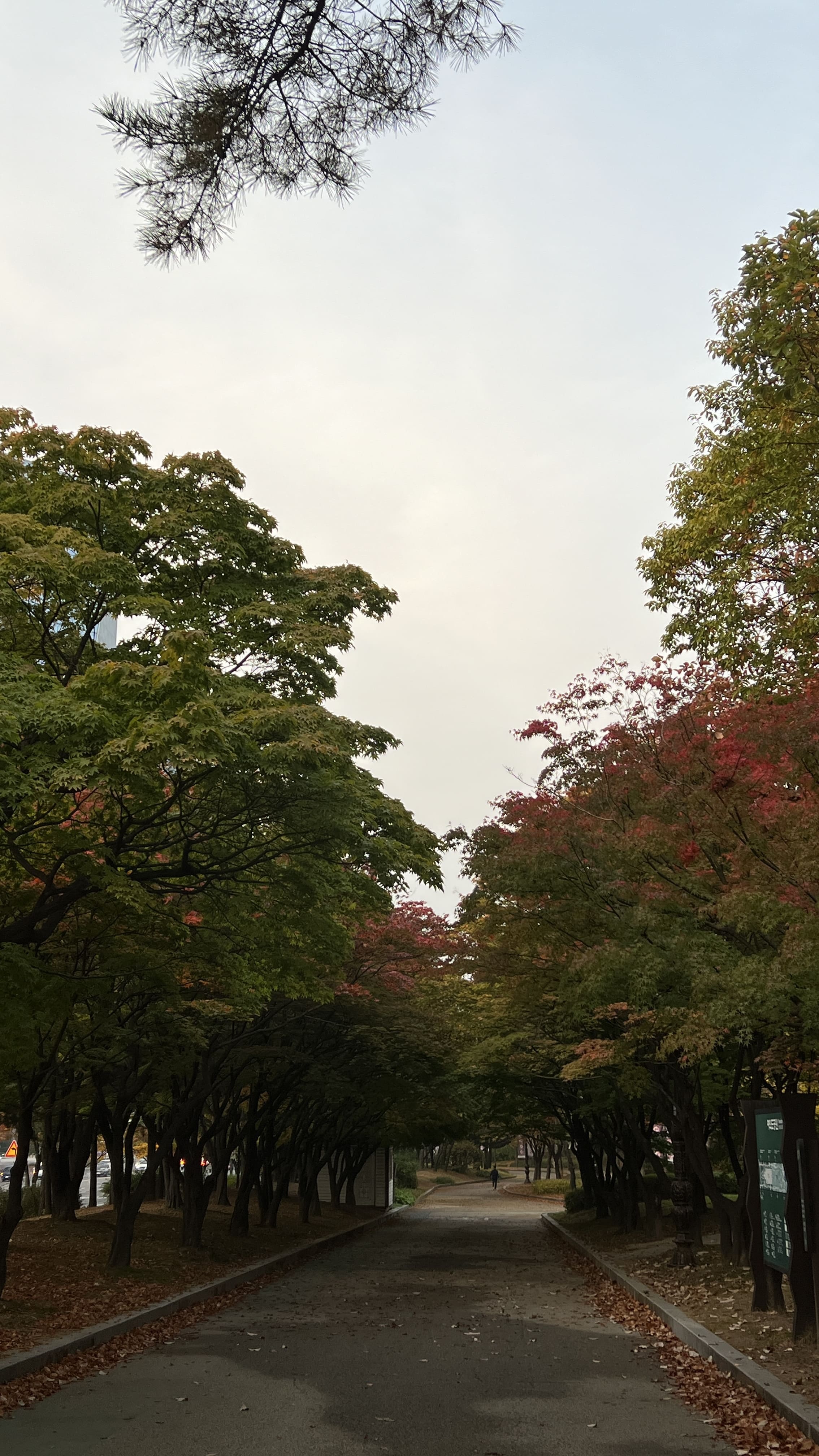 여의도 한강공원