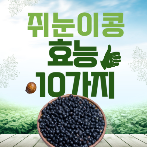 쥐눈이콩 효능