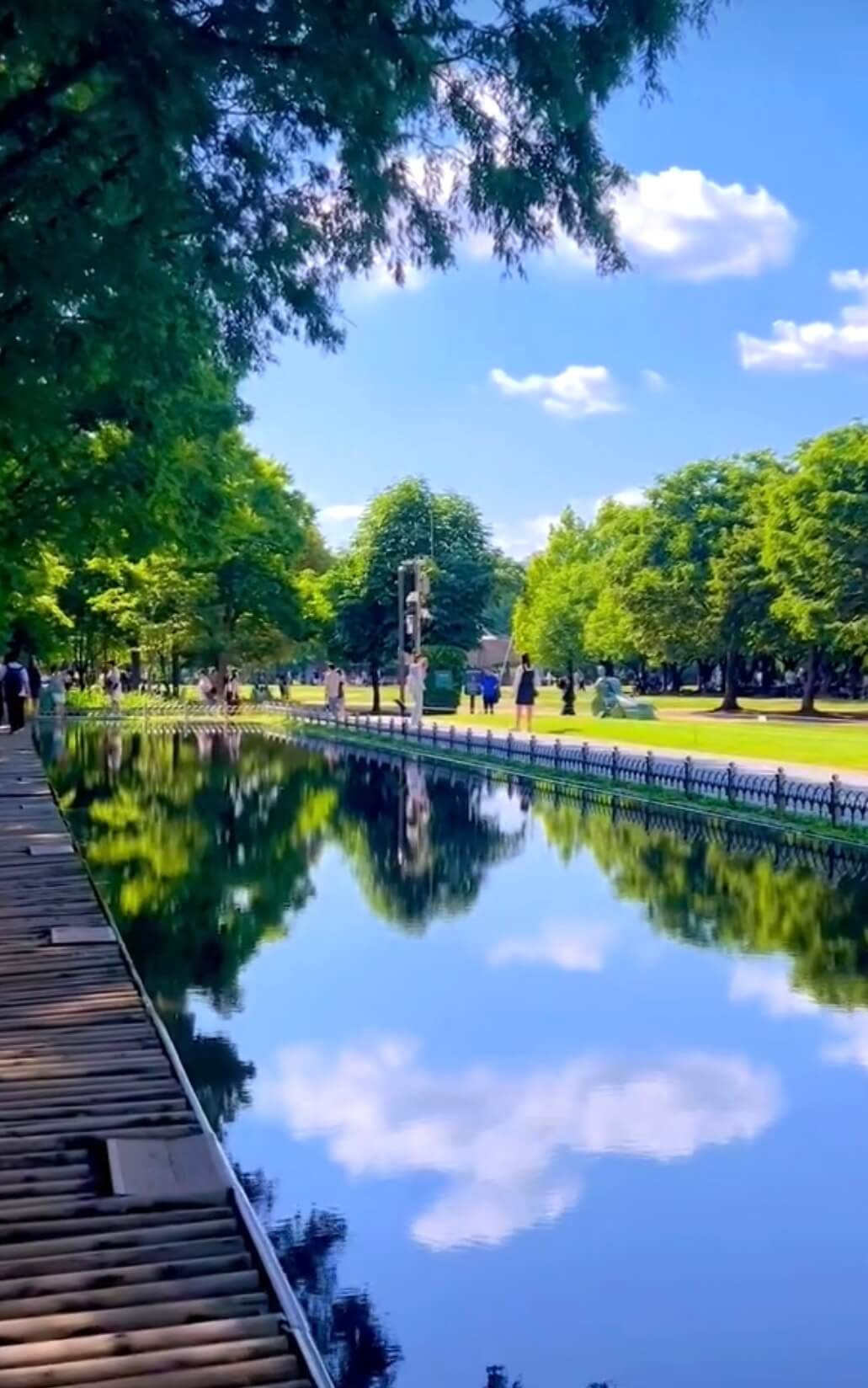 2025 서울숲 튤립 구경 가이드 관련사진