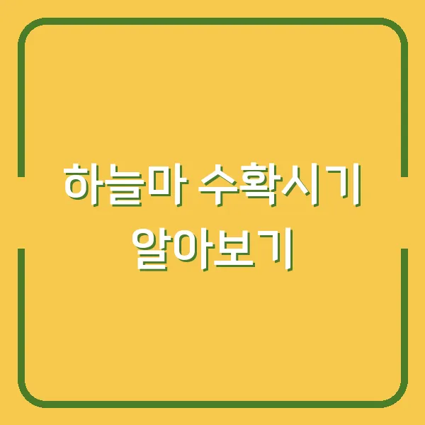 하늘마 수확시기 알아보기