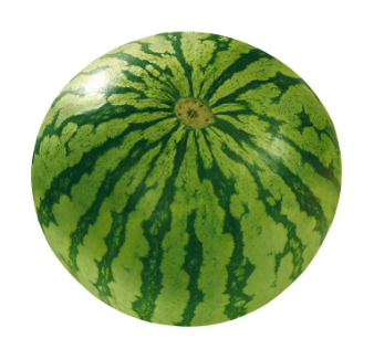 맛있는 수박 고르는 방법