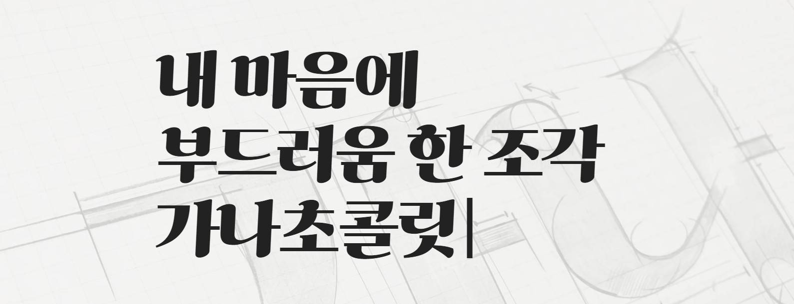 가나초콜릿체 특징