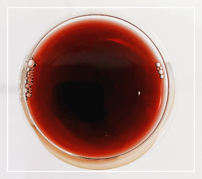 이탈리아 와인 톨라이니 알파쏘 토스카나 아이지티