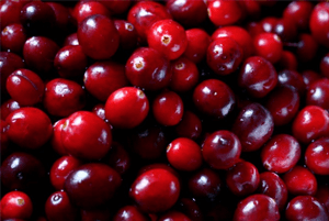 신장에좋은과일13