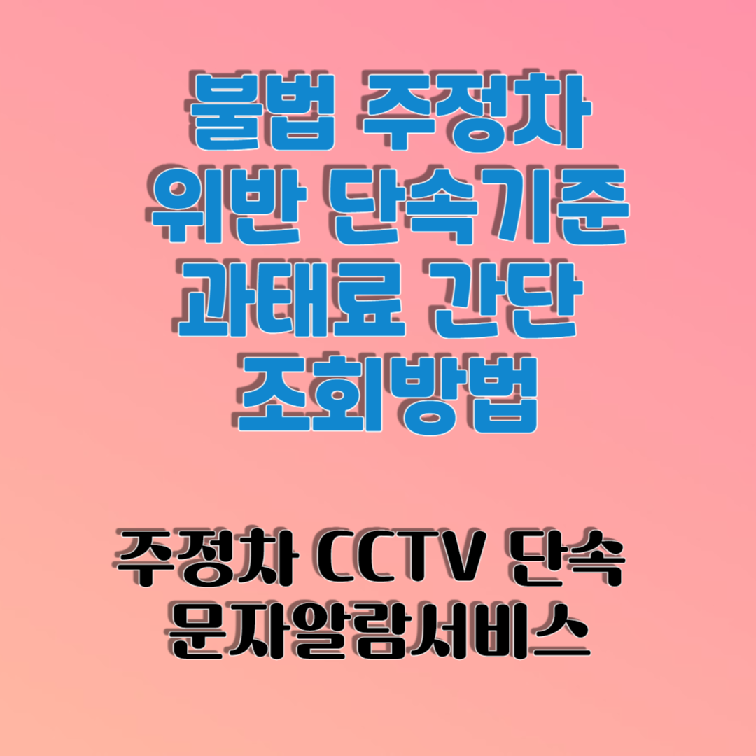 불법 주정차 위반 단속기준 과태료 간단 조회방법, 주정차 CCTV 단속 피하는법!(알람서비스받는법)