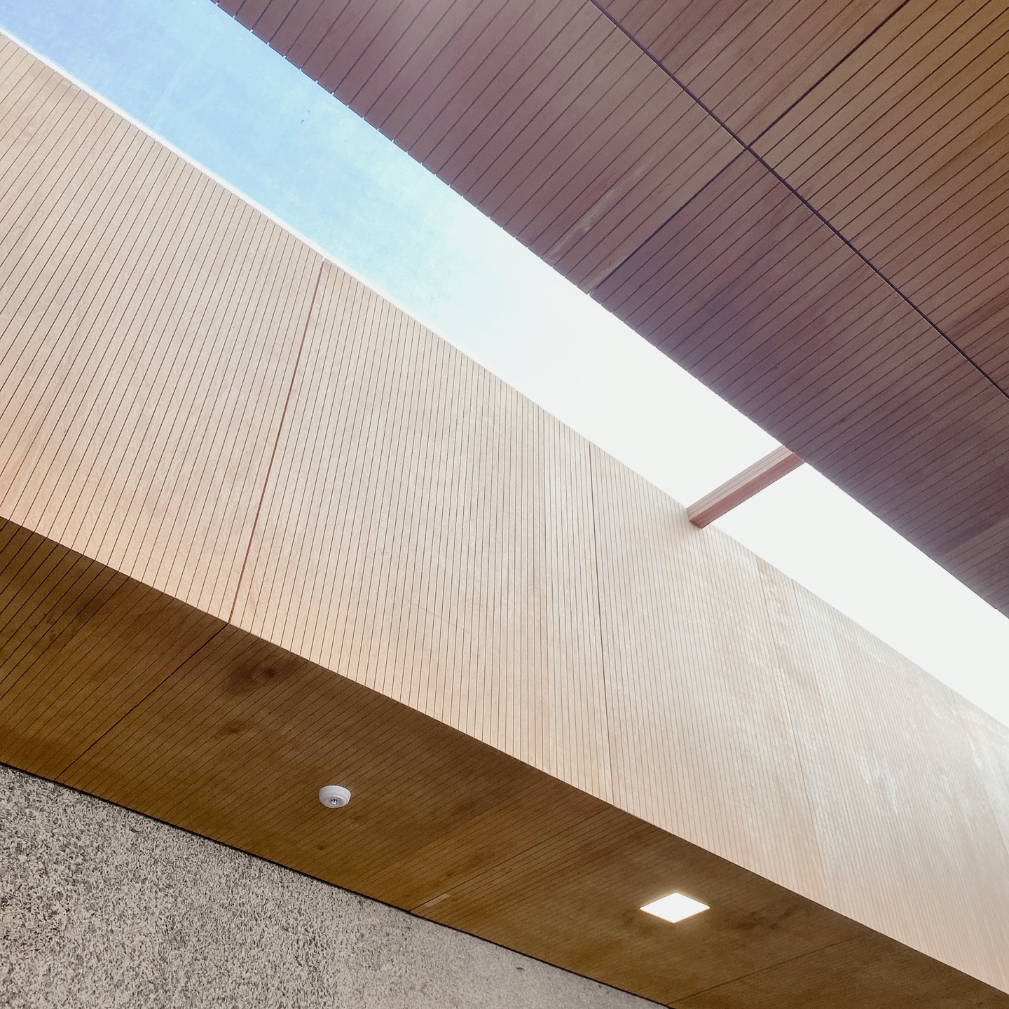 제주 이호테우 도두추억애거리 오션뷰 밀크티맛집 카페 진정성 종점