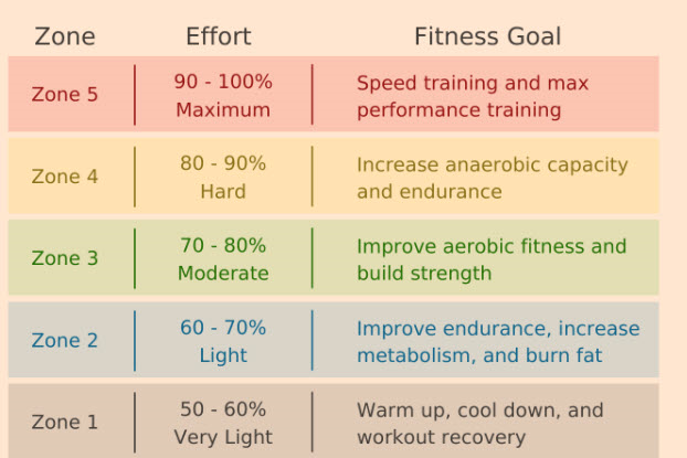 심박수 영역별 특징을 소개하는 차트