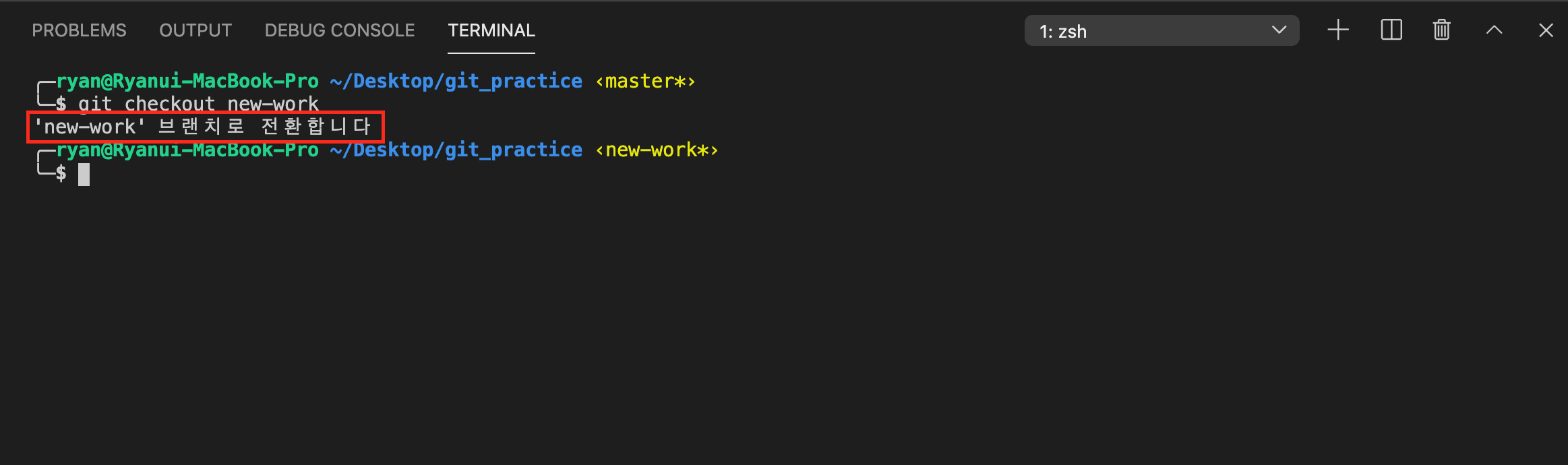 git checkout