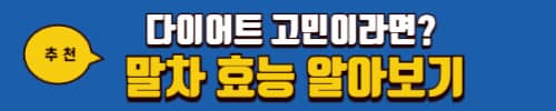 콤부차