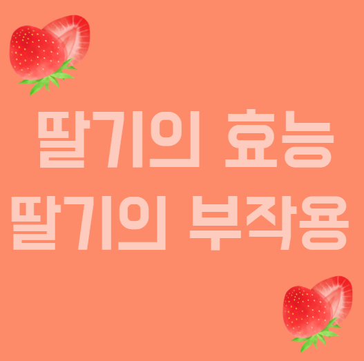 딸기의 효능 및 부작용