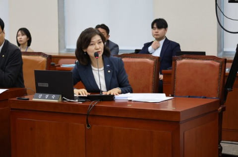 향후 전망과 입법 가능성