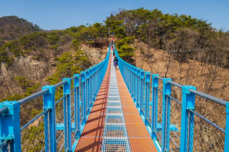 출렁다리4