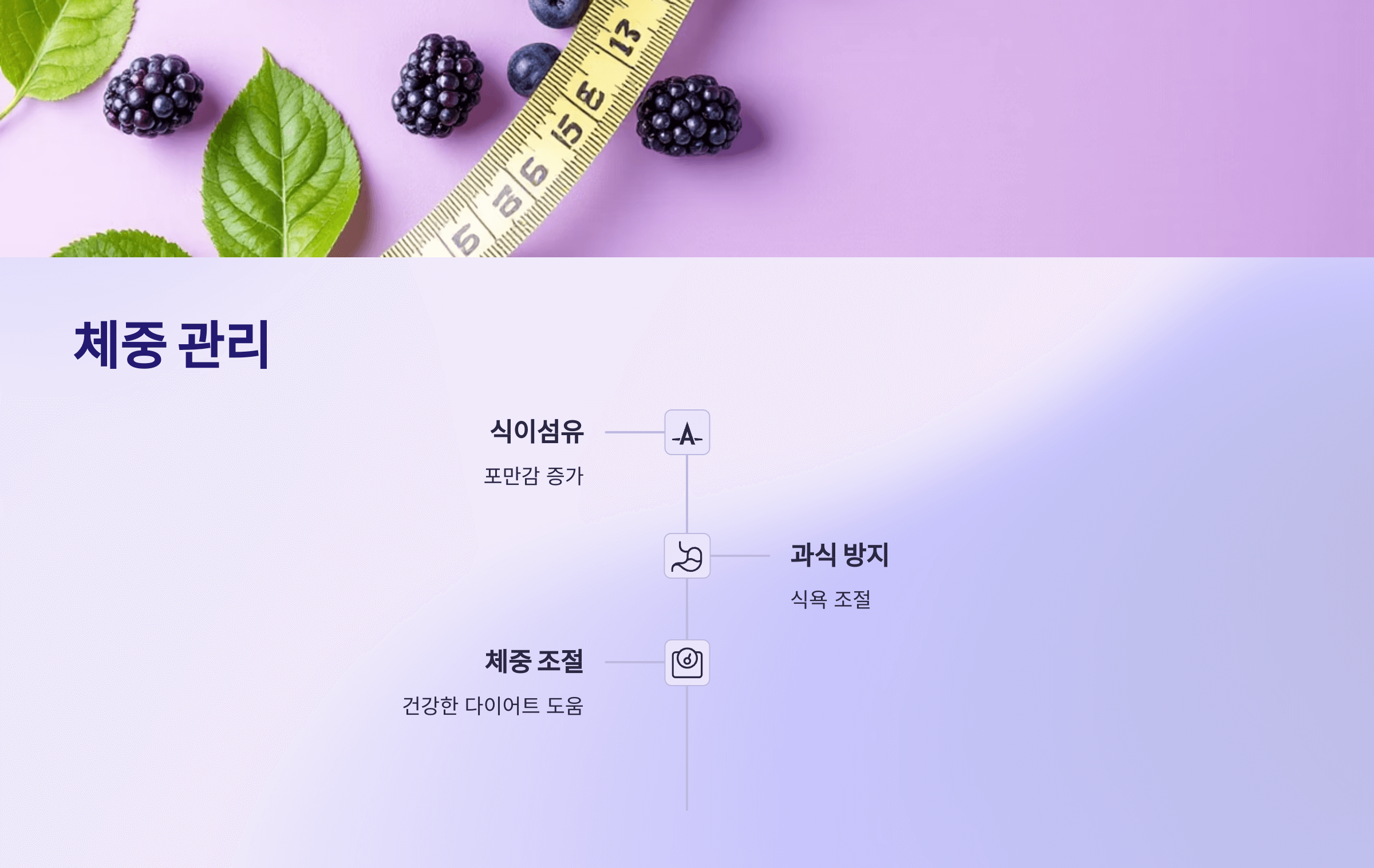 오디 사진입니다.