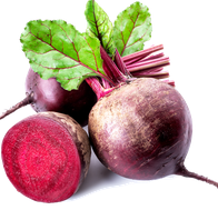 기침에 좋은 음식