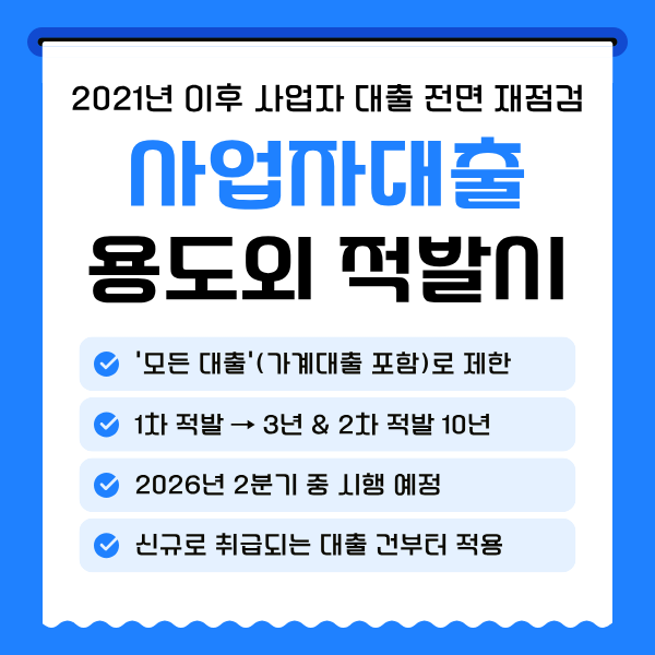 사업자대출 적발