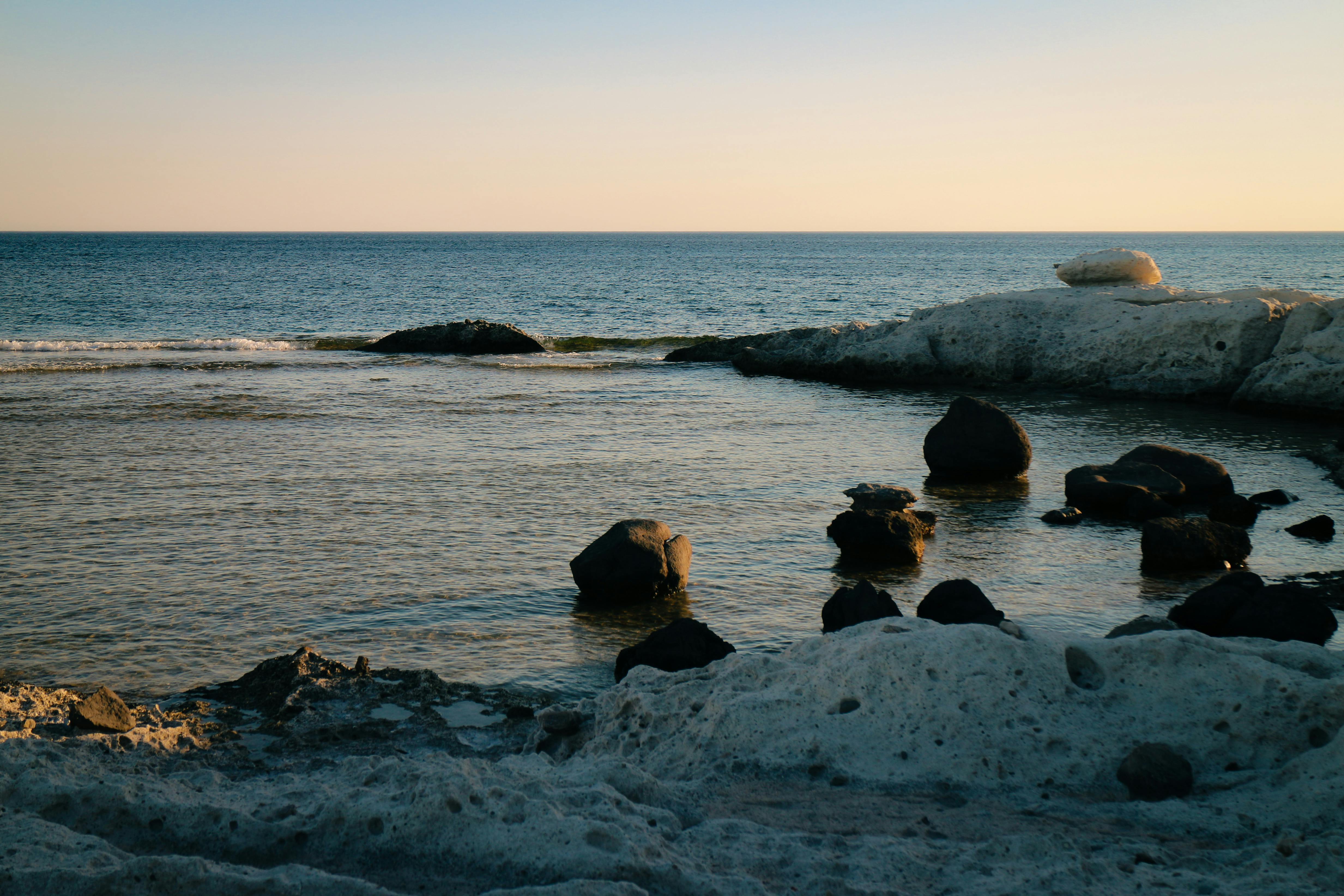 2025년 8월 20일 띠별 운세&amp;#44; 당신의 하루는 어떨까요?_3 원숭이띠&amp;#44; 닭띠&amp;#44; 개띠&amp;#44; 돼지띠
