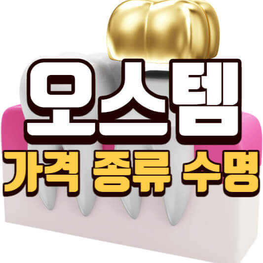 오스템 가격-종류-수명