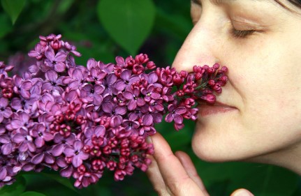 체중 관리 방법! 식사 전 &lsquo;냄새 맡기&rsquo; 루틴으로 과식 방지&amp;#44; 체중 조절까지