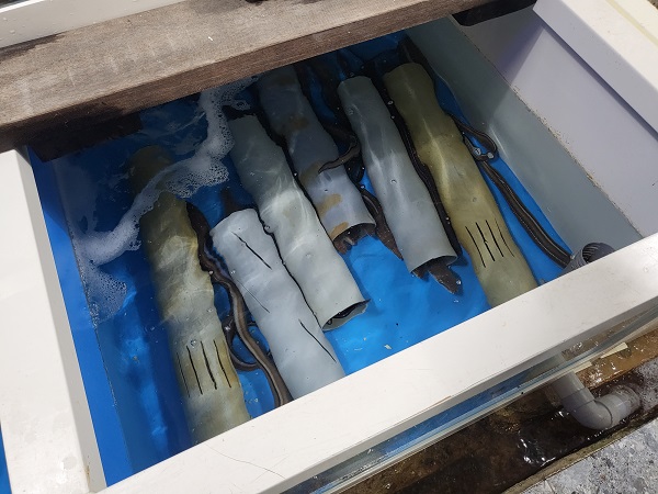 태안 신진도 마야회집-2