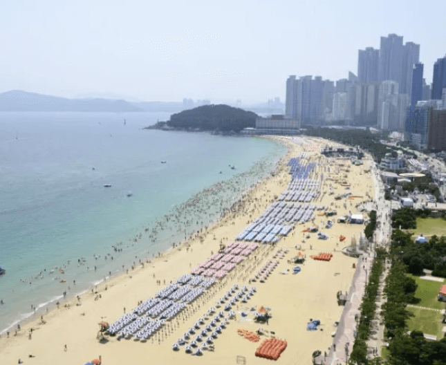 해수욕장 개장일정