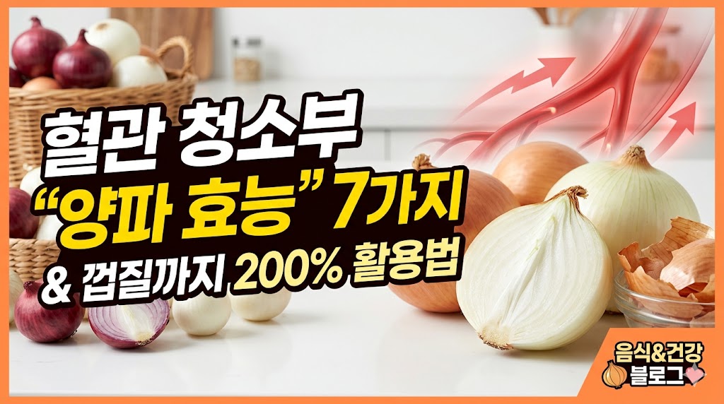 양파 효능