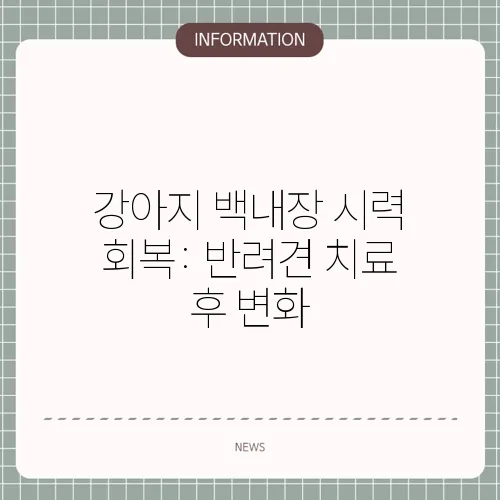 강아지 백내장 시력 회복: 반려견 치료 후 변화