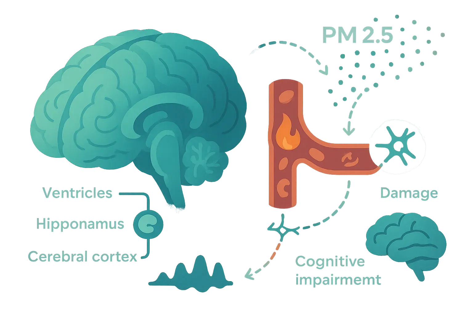 초미세먼지(PM2.5)가 뇌 신경에 손상을 주고 인지기능 저하를 유발하는 과정을 보여주는 일러스트