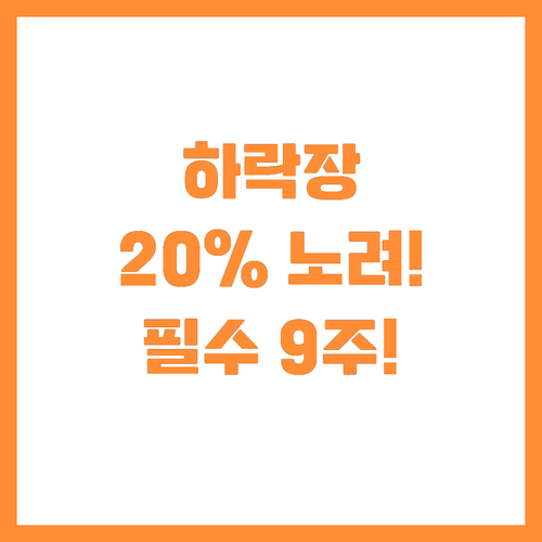 울프 리서치 하락장서 20% 노리는 ..