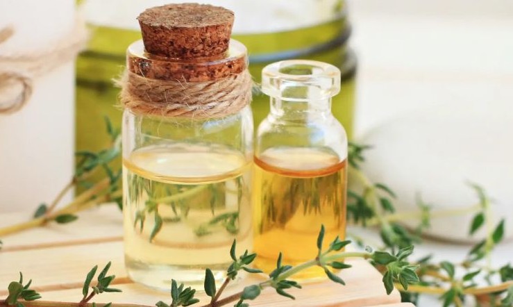 올리브오일 효능