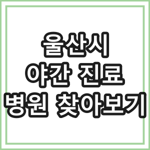 울산시 야간 진료