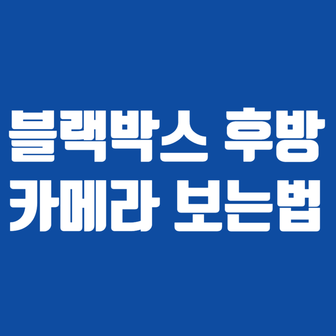 블랙박스 후방카메라 보는법