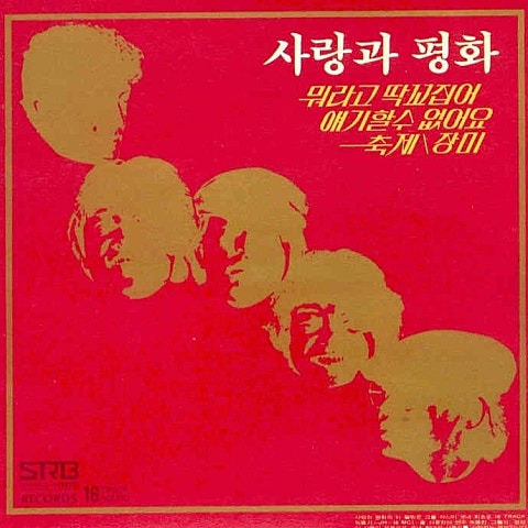 사랑과 평화 장미 앨범 사진