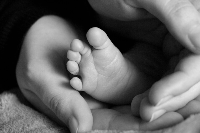 출생신고서 열람 